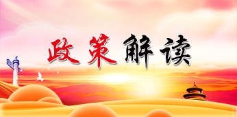 政策解读